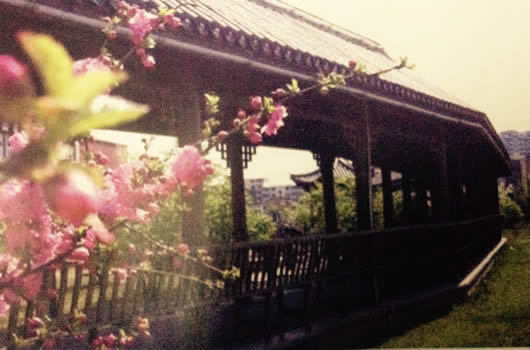 春江花園